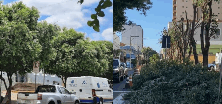 Secretário comenta poda das árvores em frente à Delegacia e confirma multa ao jardineiro responsável