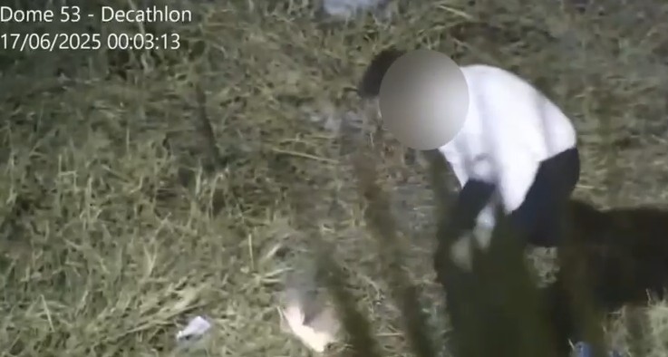 Suspeito de incêndio em área de mata é identificado por câmeras e levado à delegacia em Campinas