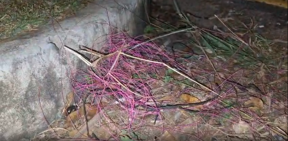 Motoboy fica gravemente ferido por linha de cerol em Campinas