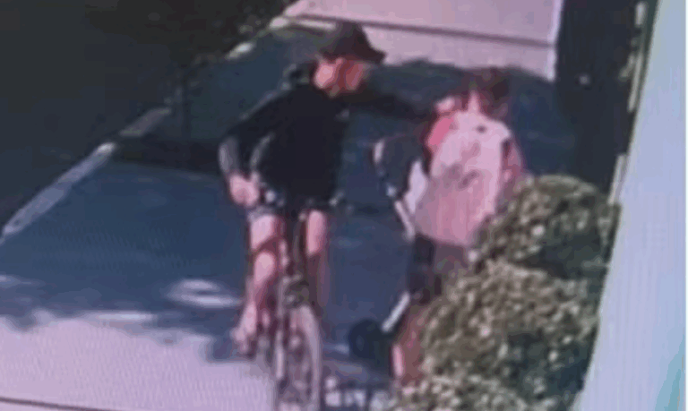 Mulher com carrinho de bebê é roubada em frente escola em Santos