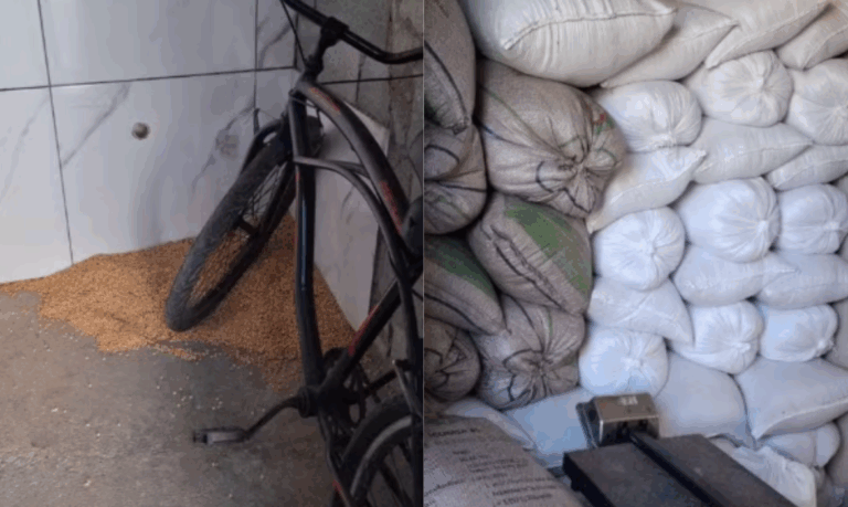 Polícia Civil recupera carga de soja furtada das linhas férreas da Baixada Santista em casa abandonada