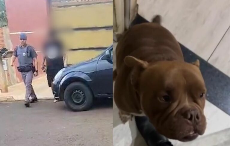 Homem briga com a esposa e mata cachorro da família