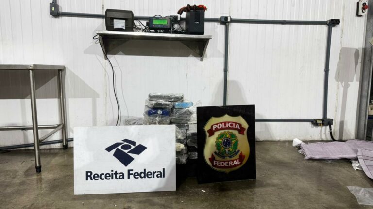 Receita Federal apreende 43kg cocaína em contêiner refrigerado no Porto