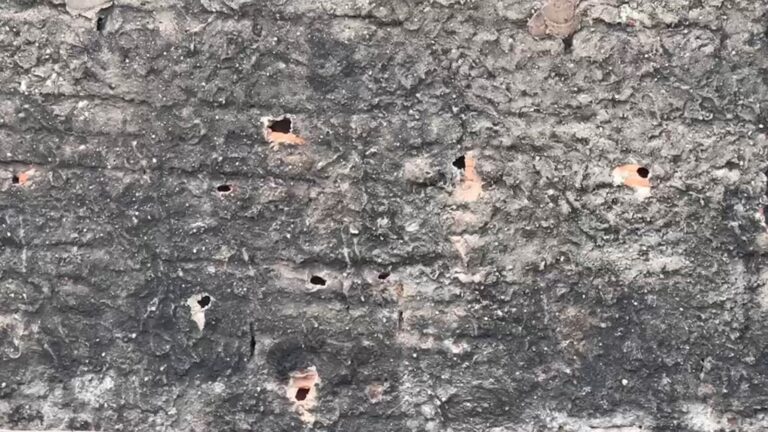 Mulher é morta a tiros no Jardim Novo Campos Elíseos, em Campinas