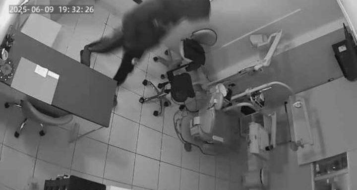 Homem furta dinheiro após invadir consultório pela janela em São José dos Campos