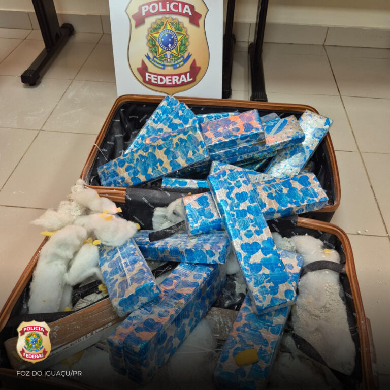 Passageira de Campinas é presa pela PF com 25 quilos de maconha