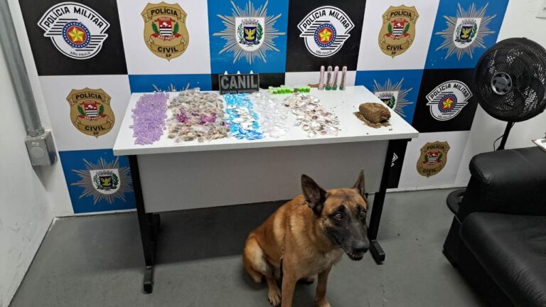 Ação com cão farejador resulta em apreensão de mais de 1 kg de drogas em praça de Campinas