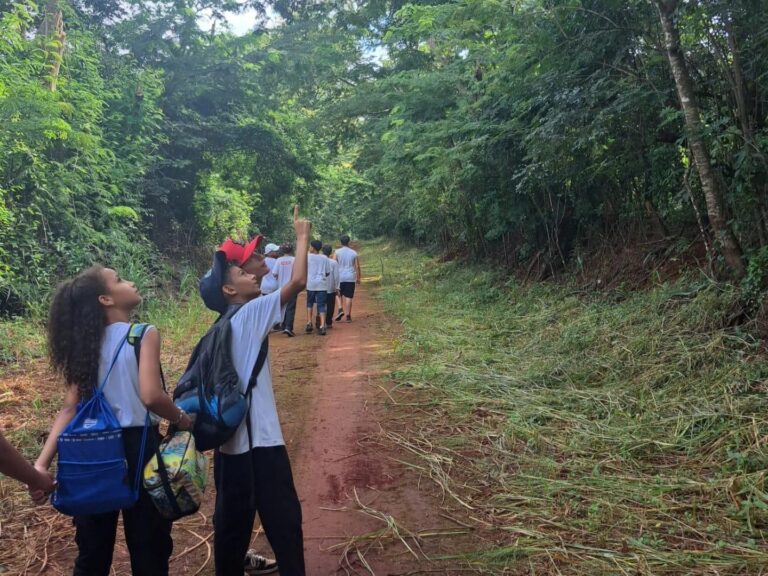 ArboreSer | Projeto realiza caminhada educativa gratuita na Estação Ecológica em homenagem aos 18 anos