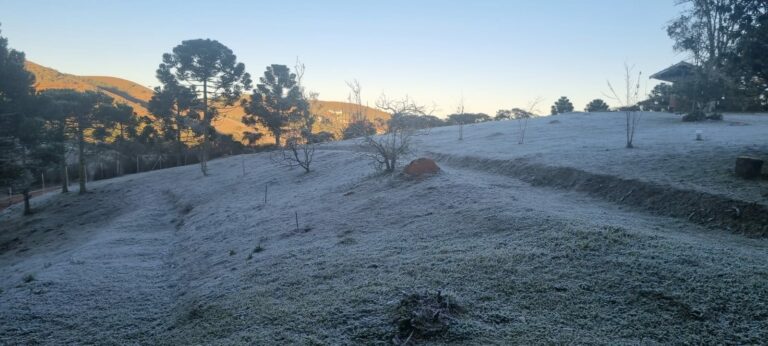 Frio intenso atinge a região com mínimas negativas e geada em Campos do Jordão