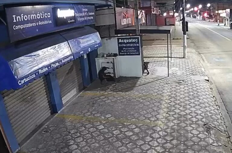 VÍDEO: Homem furta hidrômetros de lojas no Centro de Ubatuba