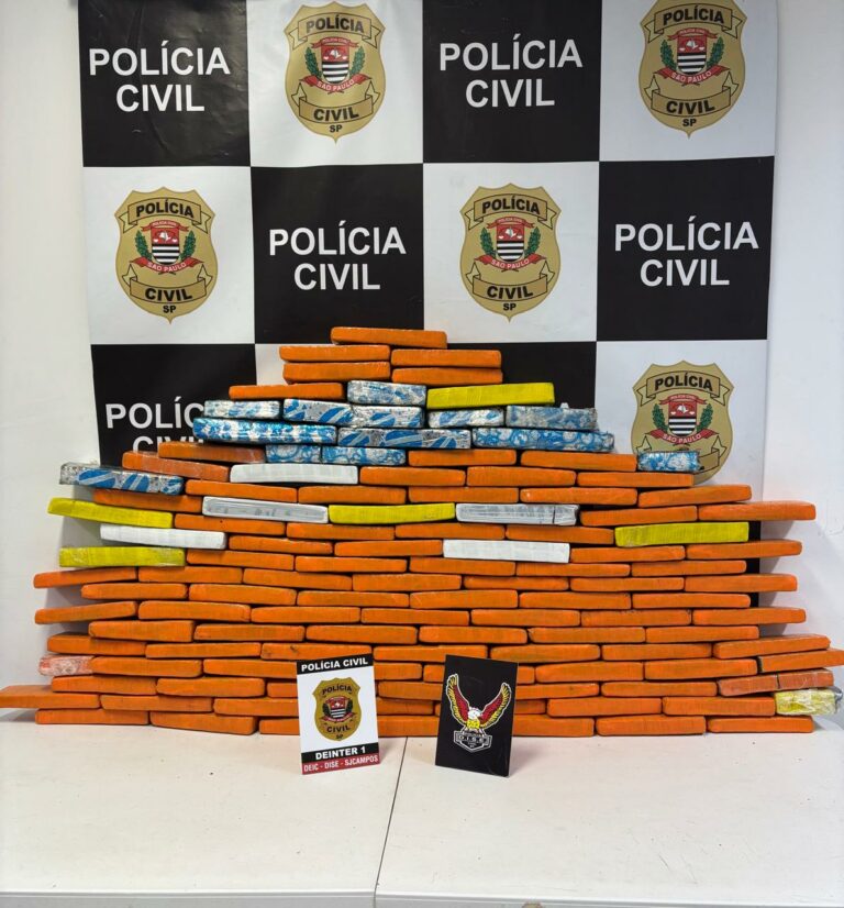 Polícia Civil apreende quase 70 kg de maconha em operação contra o tráfico em São José