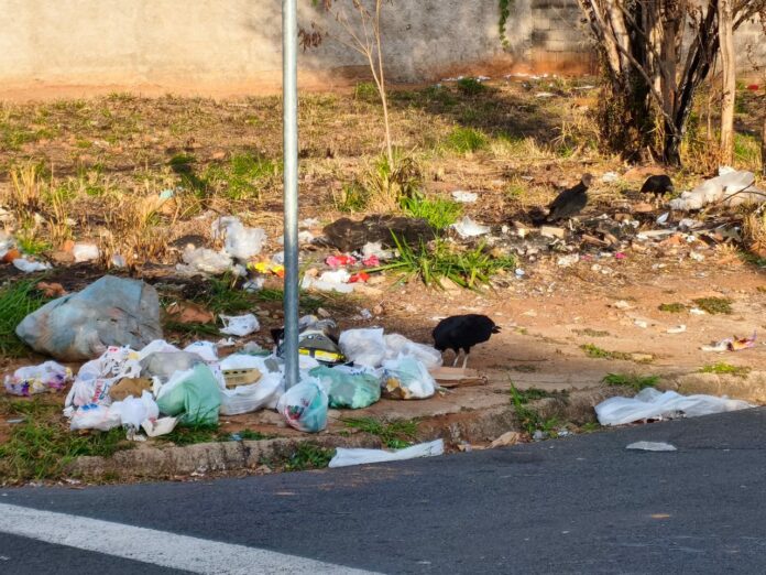 Prefeitura assume coleta de lixo e retoma serviço em Mogi Mirim