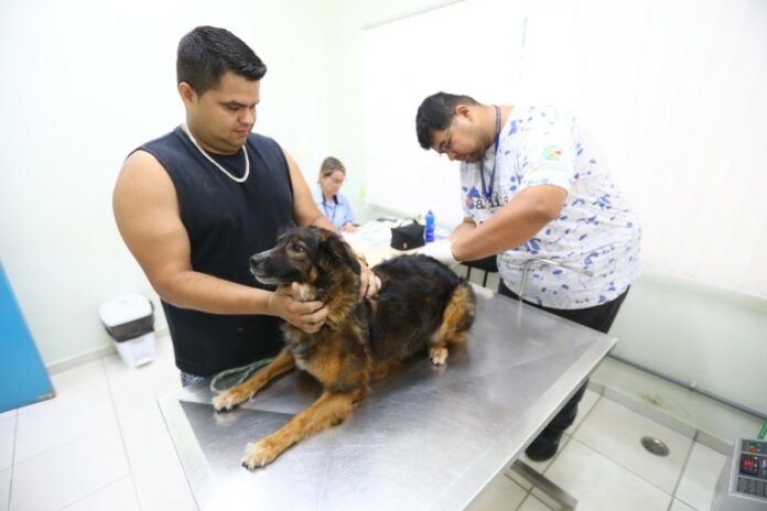 Cães e gatos podem ser adotados neste sábado em São José dos Campos