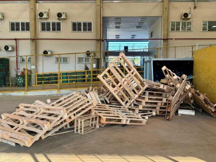 Ceasa Campinas transforma mais de 17 mil metros de madeira em combustível Ceasa Campinas transforma mais de 17 mil metros de madeira em combustível