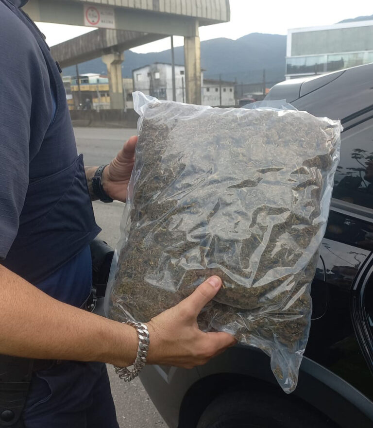 Motorista de “carro dublê” é detido com grande quantidade de maconha em Praia Grande
