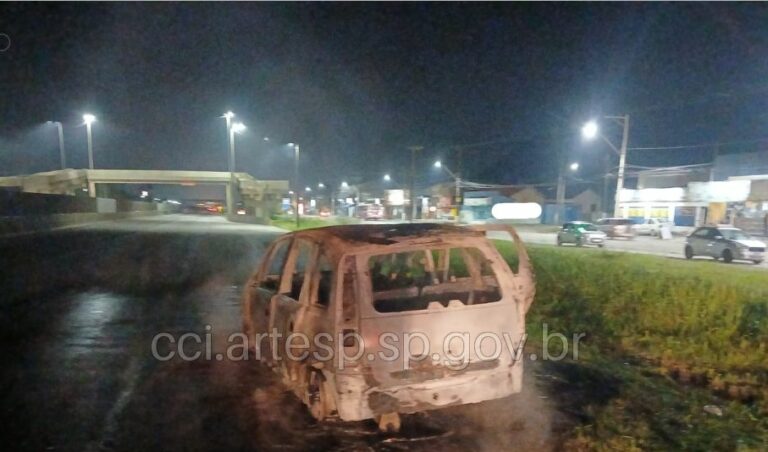 Motorista sai de veículo momentos antes de ser destruído por incêndio em rodovia do litoral