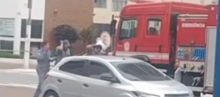 Enxame de abelhas ataca populares em Praia Grande e área é isolada