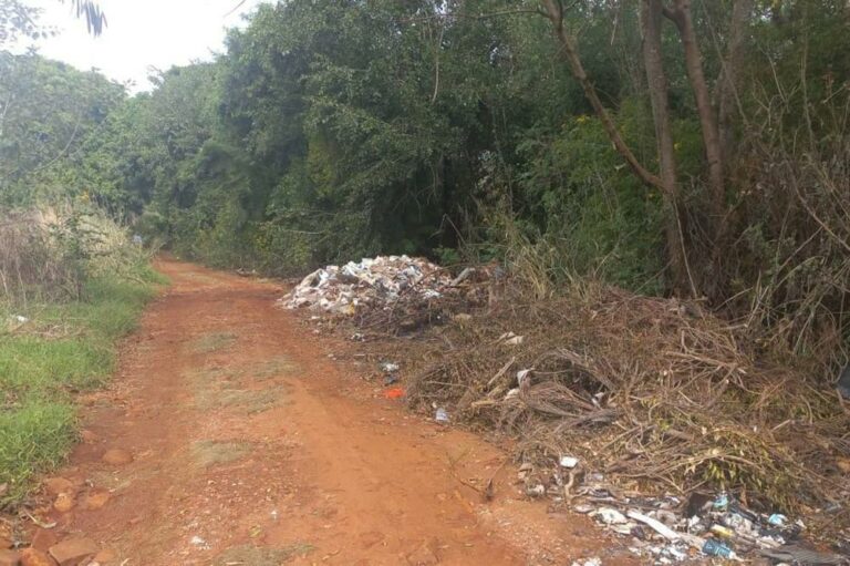 Prefeitura retira 200 toneladas de lixo da Estrada do Rosário
