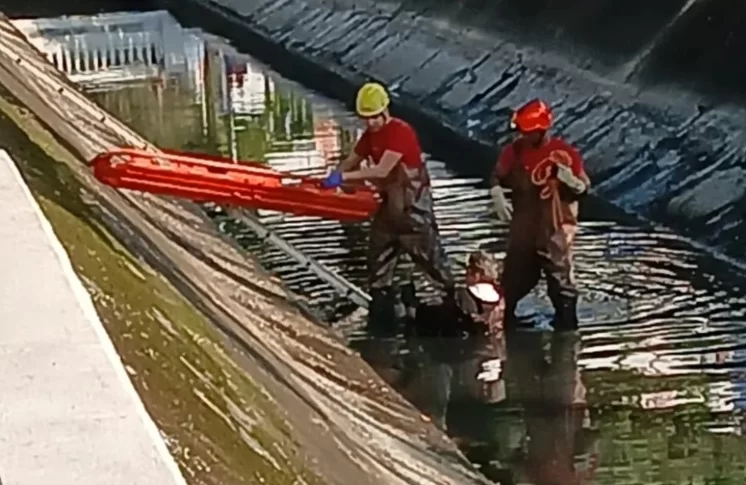 Idoso cai em canal de Santos, bate a cabeça e é socorrido pelos Bombeiros