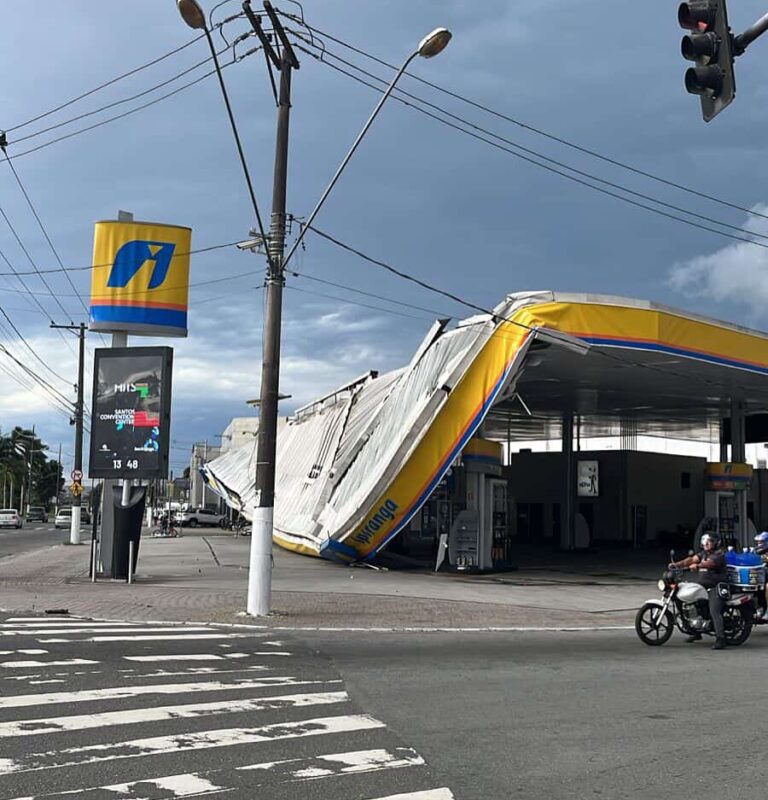 Ventania causa quedas de árvores e estruturas em Praia Grande; VÍDEO