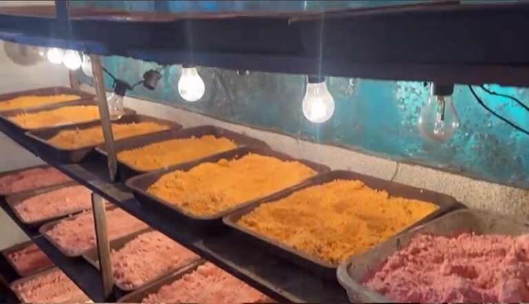 Homem é preso em laboratório de drogas sintéticas no Guarujá