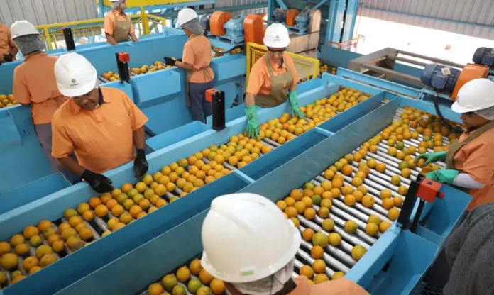 A laranja escapou da sobretaxa | Ari Dias/Governo do Paraná