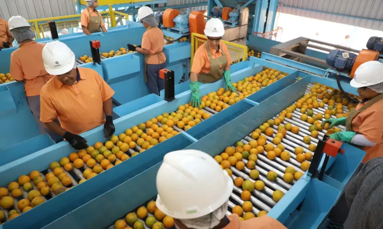 A laranja escapou da sobretaxa | Ari Dias/Governo do Paraná