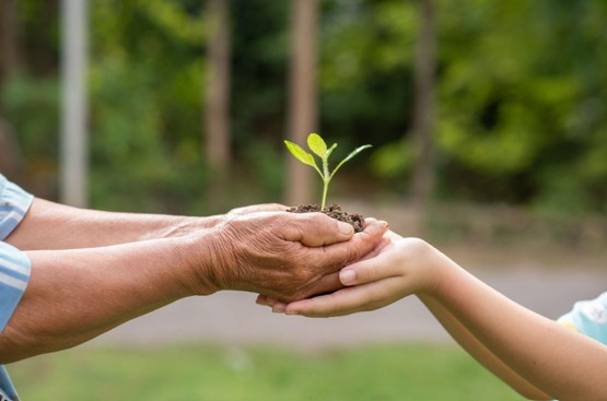 Captura de tela 2025-07-26 124427