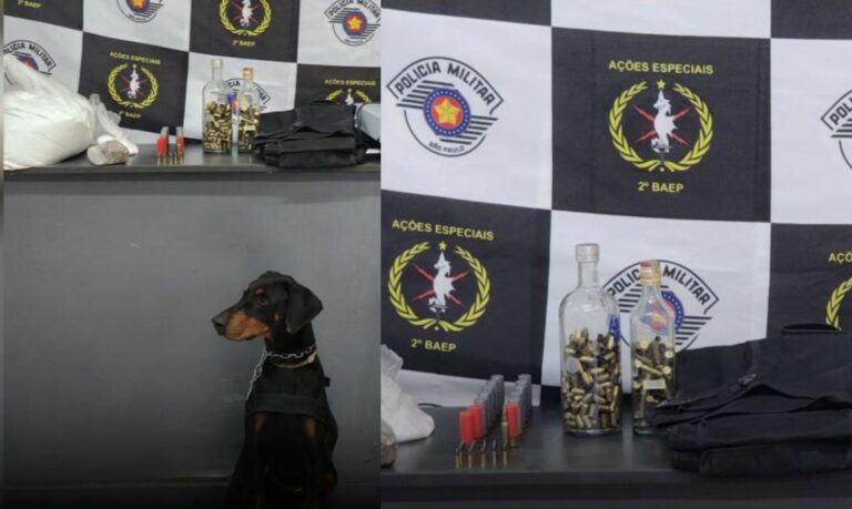 Drogas e munições são encontradas em garagem de apartamento com auxílio de cão farejador