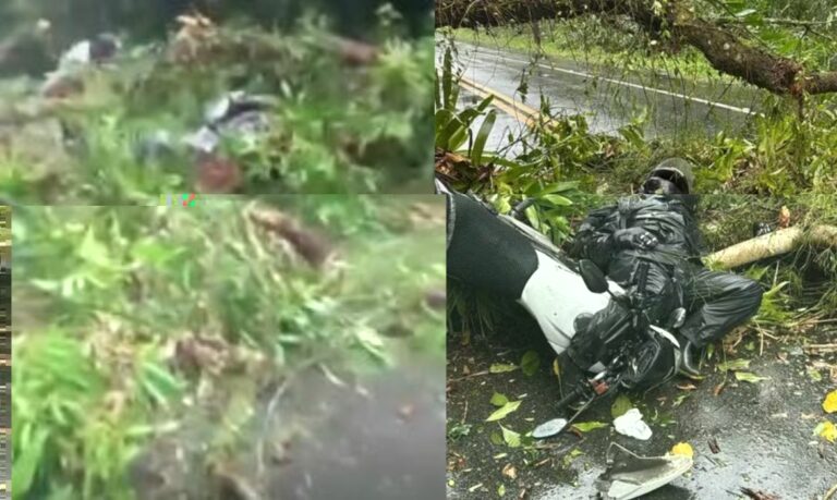 Motociclista morre em decorrência de colisão com árvore na estrada Guarujá-Bertioga