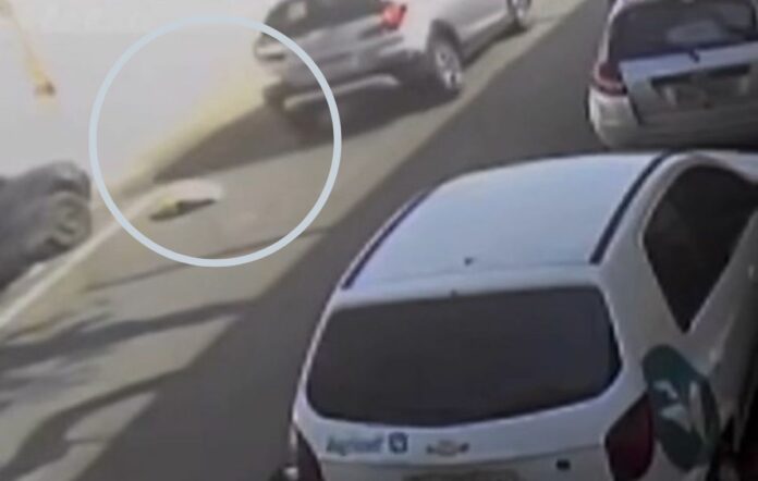 Idosa de 81 anos vai parar na delegacia após atropelar criança e fugir Idosa de 81 anos vai parar na delegacia após atropelar criança e fugir