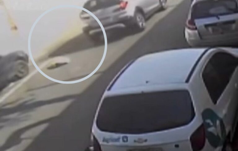 Idosa de 81 anos vai parar na delegacia após atropelar criança e fugir