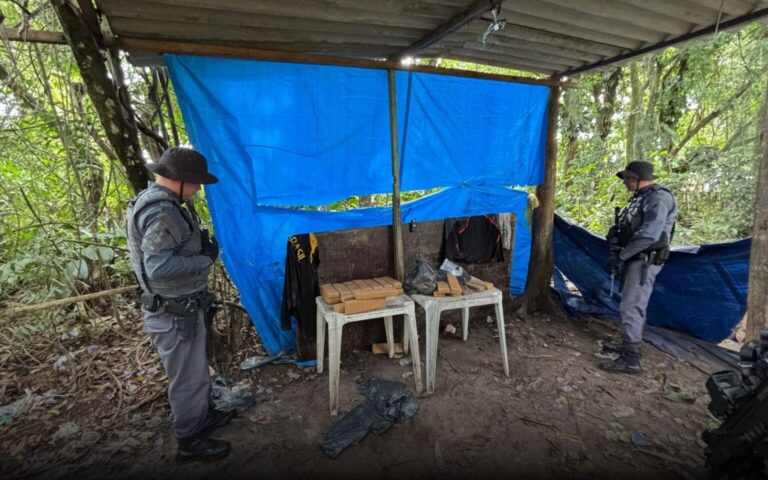 Mais de 30 kg de drogas são apreendidos em área de mata no Guarujá