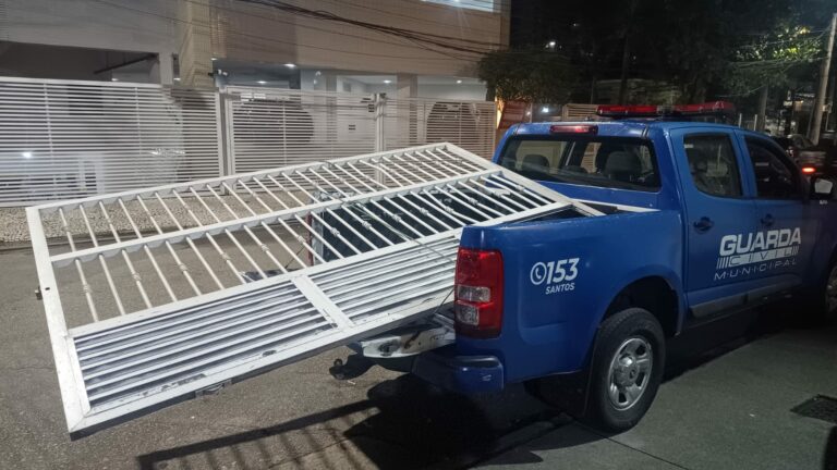 Dois homens são presos em flagrante por furto de portão em Santos