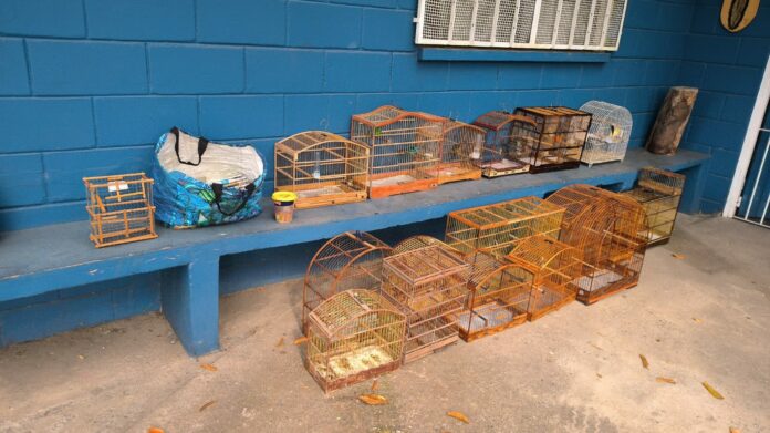 WhatsApp Image 2025-06-30 at 3.58.29 PM