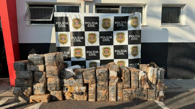 Polícia Civil apreende mais de 800 kg de maconha em imóvel rural de Atibaia