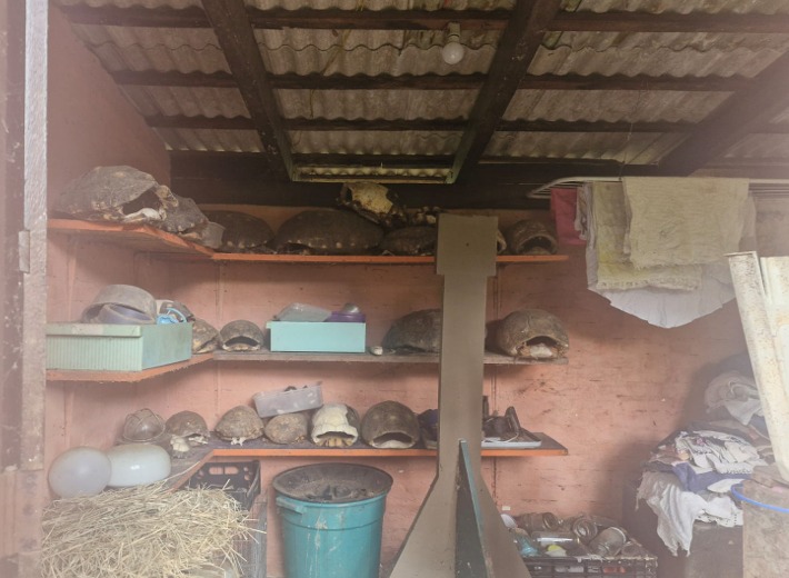 Polícia encontra animais silvestres mantidos ilegalmente em casa em Santo Antônio do Pinhal