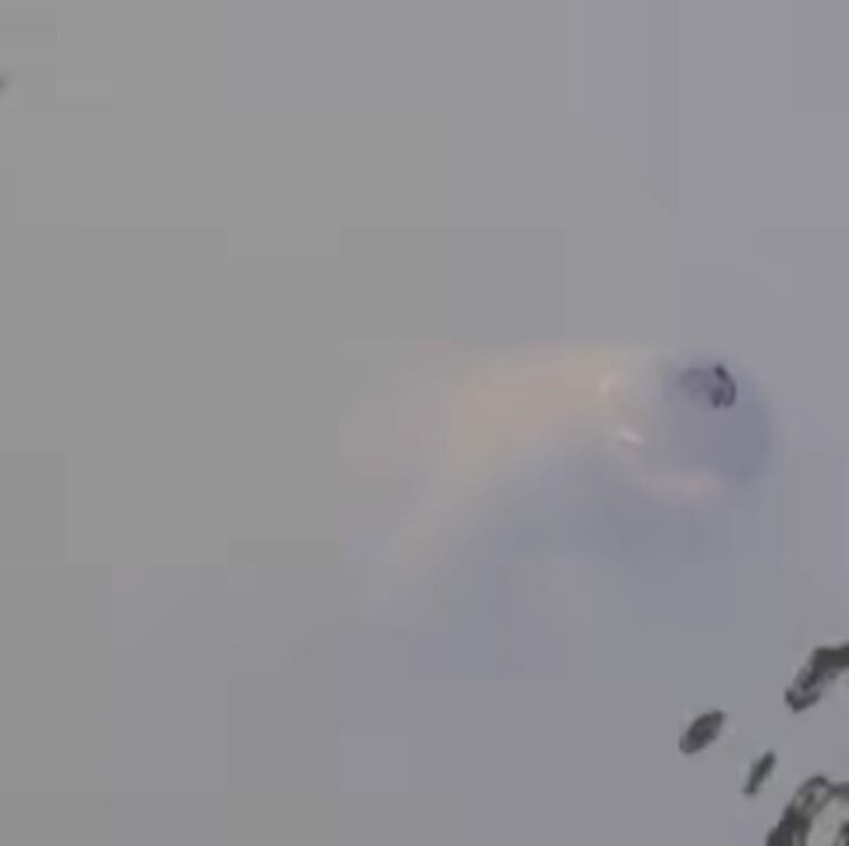 Corpo de homem é encontrado boiando em rio de Mongaguá; VÍDEO