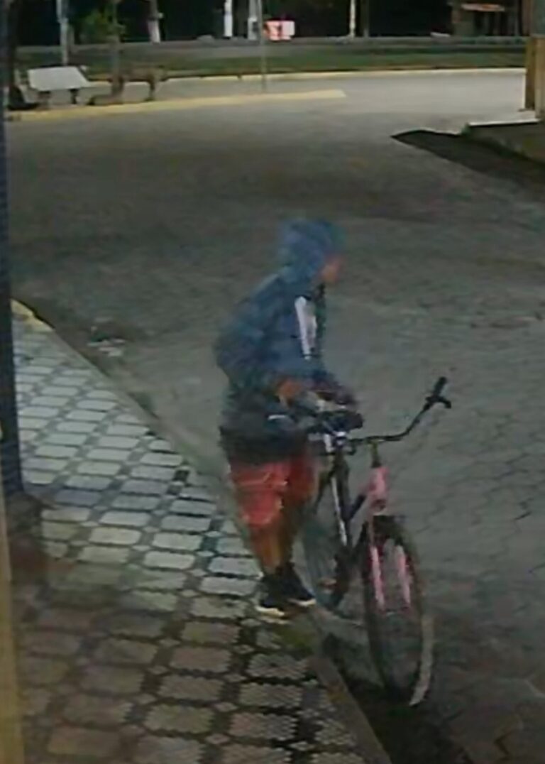 Homem é preso após furtar adega e tentar vender produtos em Ubatuba