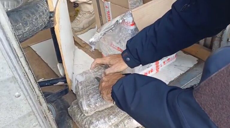 PRF faz maior apreensão de 'skunk' do ano em SP e prende motorista na Via Dutra, em Lavrinhas