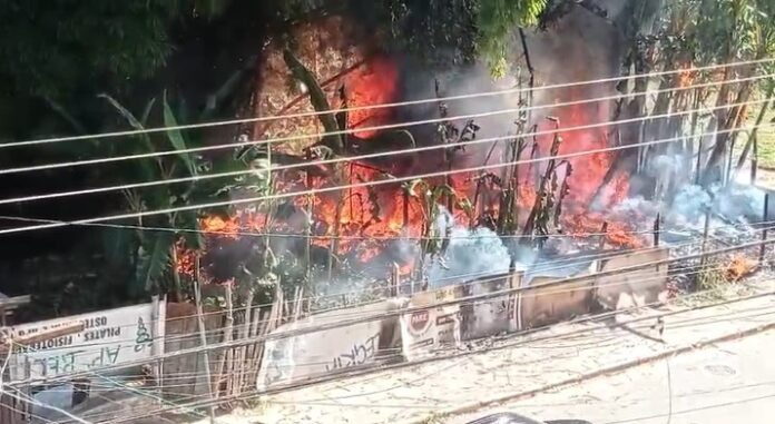 VÍDEO: Fogo em vegetação atinge barraco de madeira e mobiliza bombeiros em São José