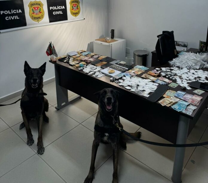 Operação Arranha Céu desmantela quadrilha ligada ao PCC em Monte Mor