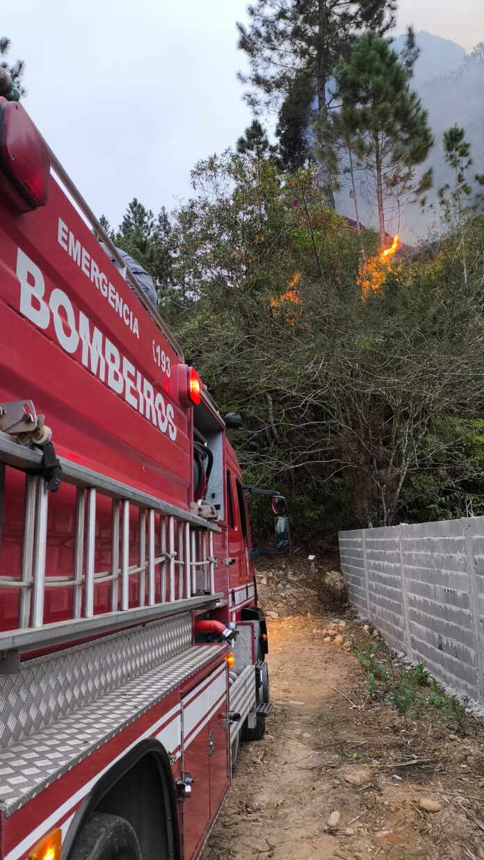 Bombeiros controlam incêndio em vegetação e evitam avanço das chamas em Ubatuba