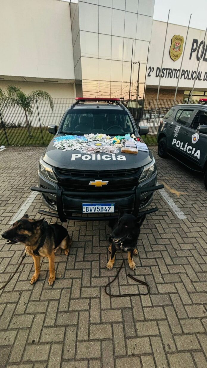 Cães do BAEP localizam mais de 2 mil porções de drogas em mata de Pindamonhangaba