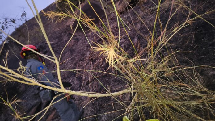 VÍDEO: Incêndio de grandes proporções atinge mata em Ilhabela e mobiliza bombeiros por mais de 12 horas