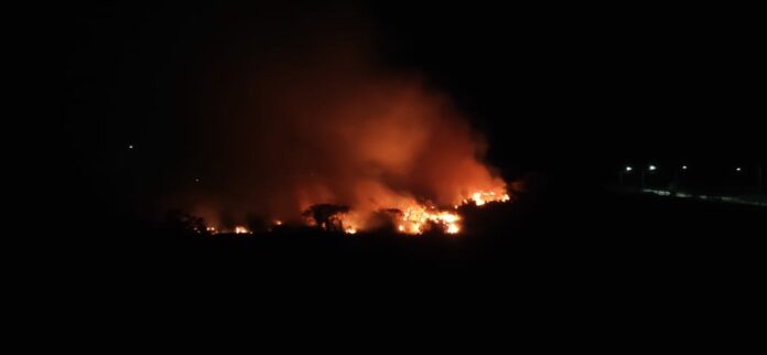 Focos de incêndio em vegetação mobilizam a Defesa Civil em Taubaté