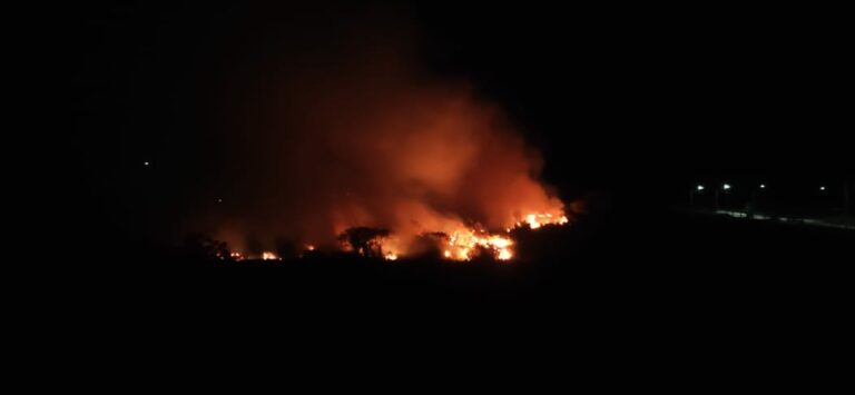 Focos de incêndio em vegetação mobilizam a Defesa Civil em Taubaté