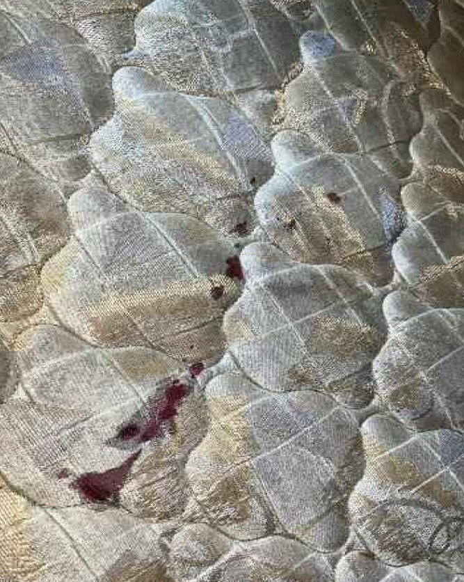 Homem dá facada no pescoço da esposa na frente do filho e é preso em Pindamonhangaba