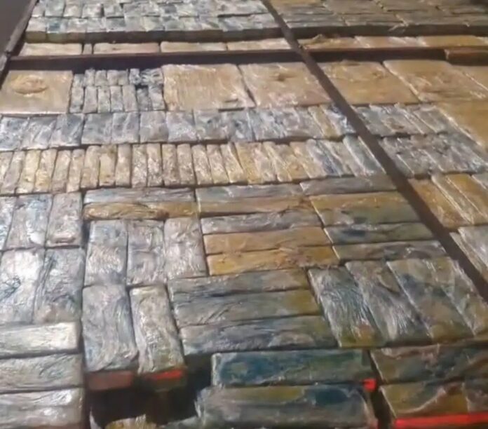 WhatsApp Image 2025-07-28 at 13.57.24