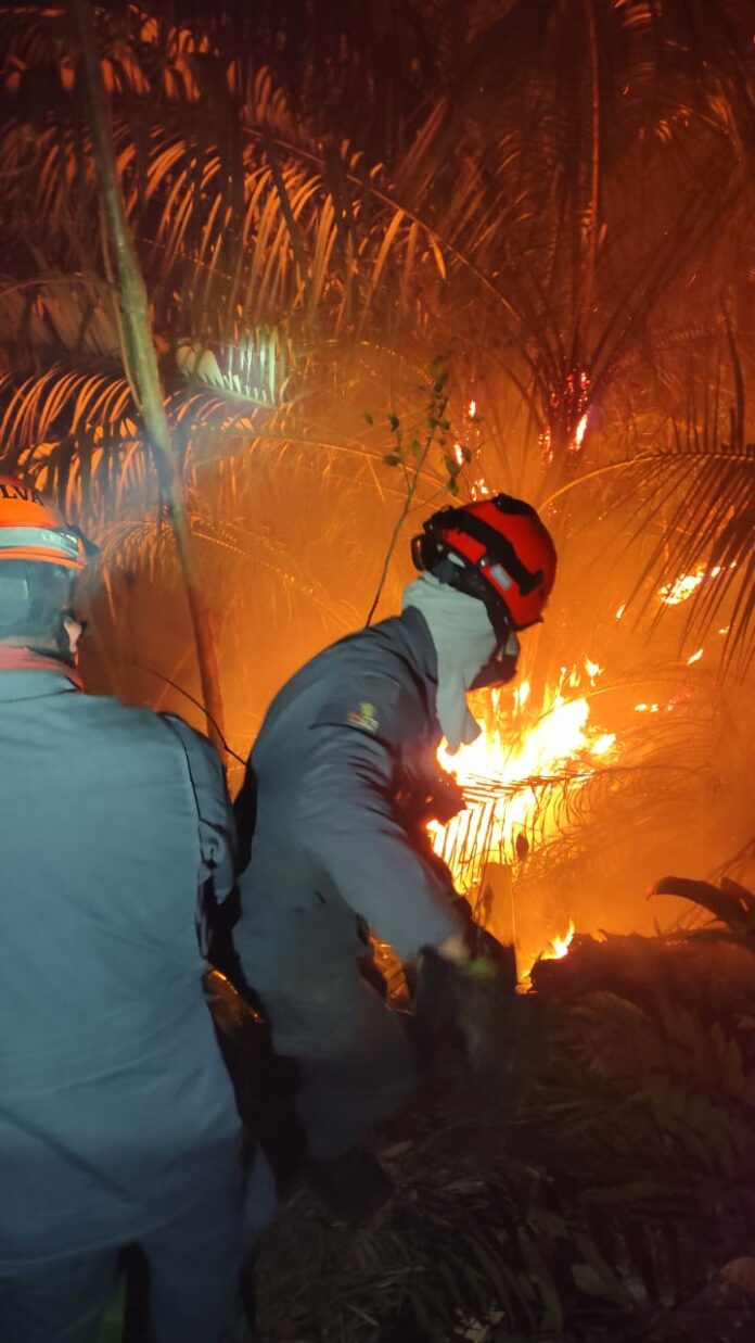 Incêndio atinge vegetação no Morro do Chocolate e assusta moradores em Caraguatatuba